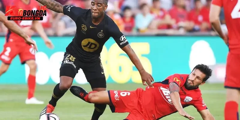 Nhận định trận đấu Adelaide United vs Western Sydney Wanderers