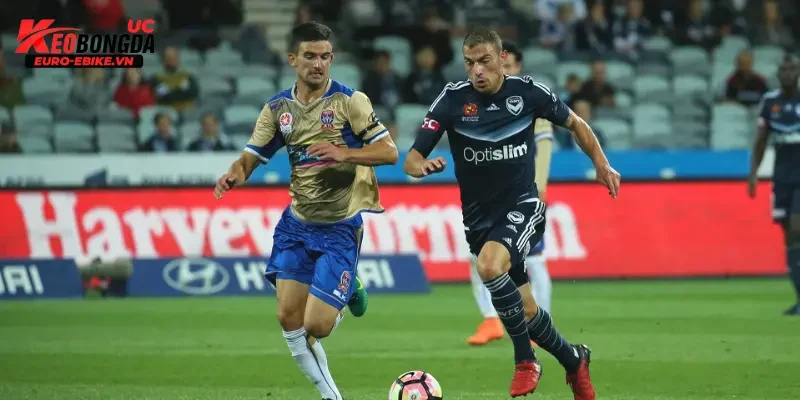 Giới thiệu về giải bóng đá VĐQG Úc