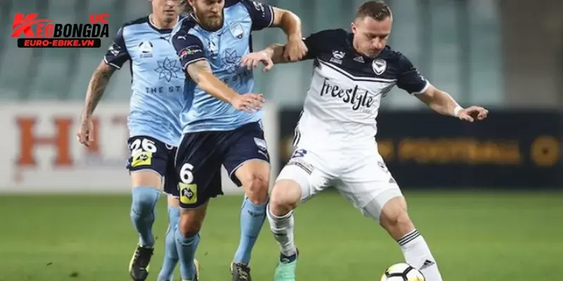 Các đội bóng nổi bật tại bảng xếp hạng bóng đá Úc