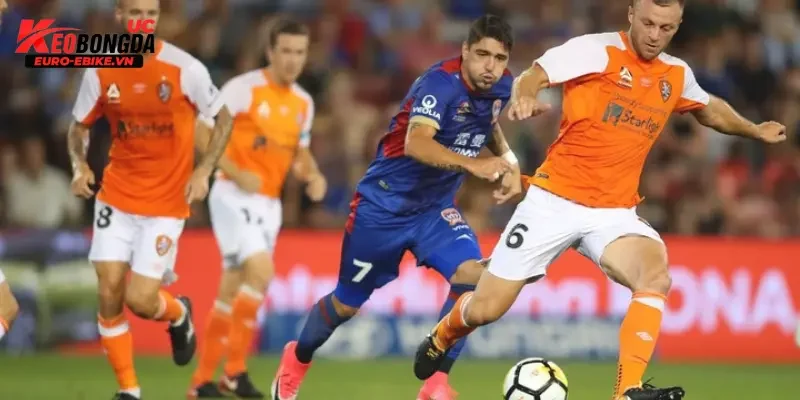 Phong độ và tình hình đội bóng Brisbane Roar vs Newcastle Jets