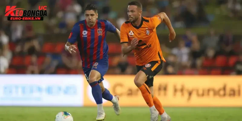 Soi kèo trận Brisbane Roar vs Newcastle Jets