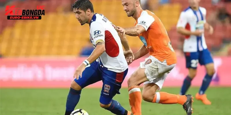 Nhận định trận đấu Brisbane Roar vs Newcastle Jets