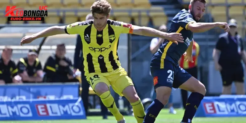 Phong độ và tình hình đội bóng Central Coast Mariners vs Wellington Phoenix