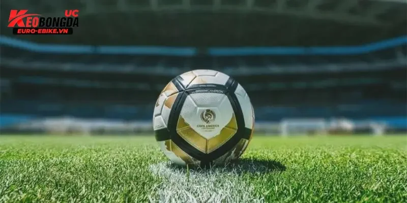 Yếu tố ảnh hưởng soi kèo bóng đá Úc