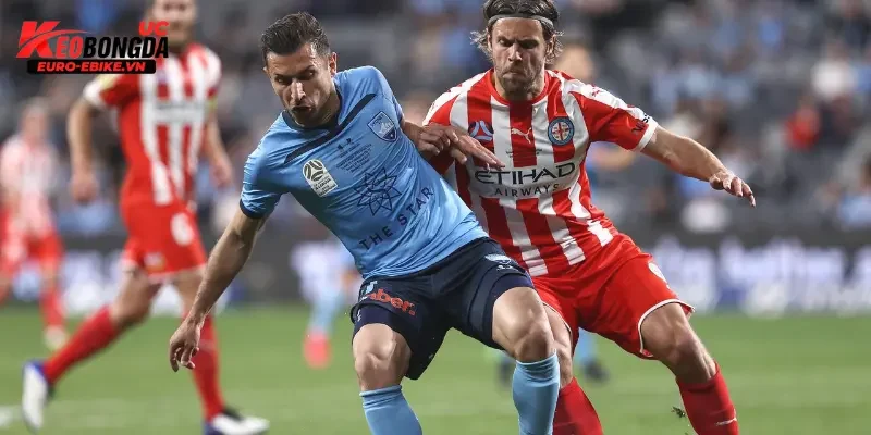 Kết quả bóng đá Úc là gì?