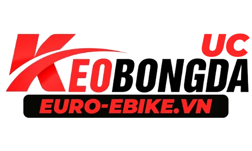 euro-ebike.vn
