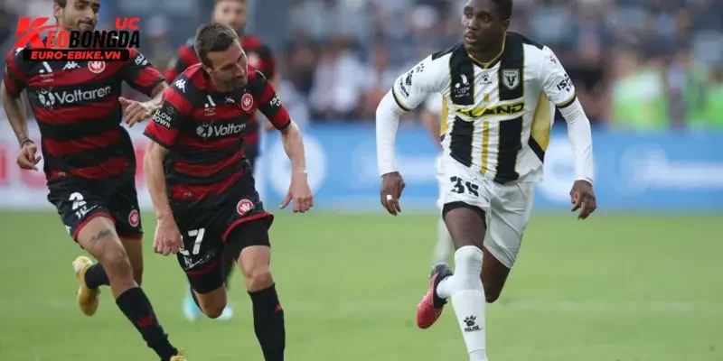 Lịch sử đối đầu giữa Macarthur vs Western Sydney Wanderers