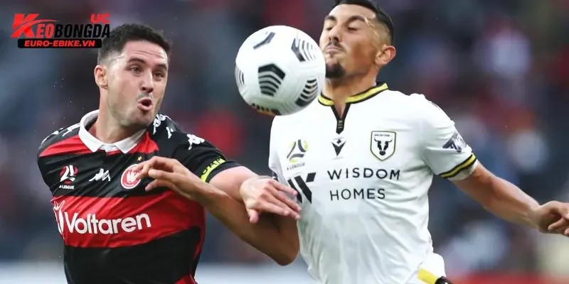 Nhận định Macarthur vs Western Sydney Wanderers