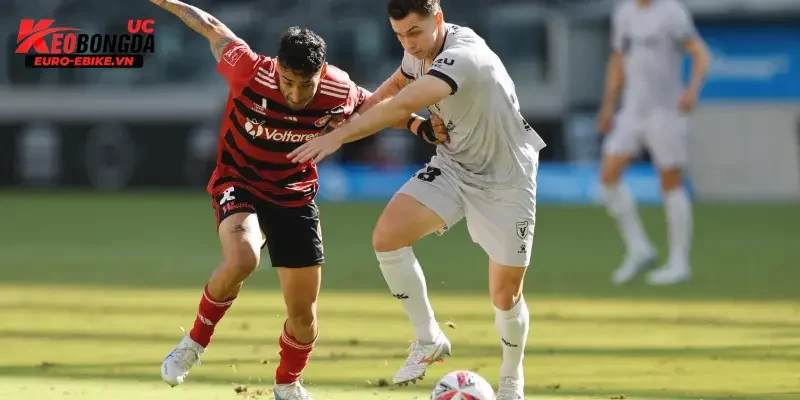 Đội hình dự kiến Macarthur vs Western Sydney Wanderers