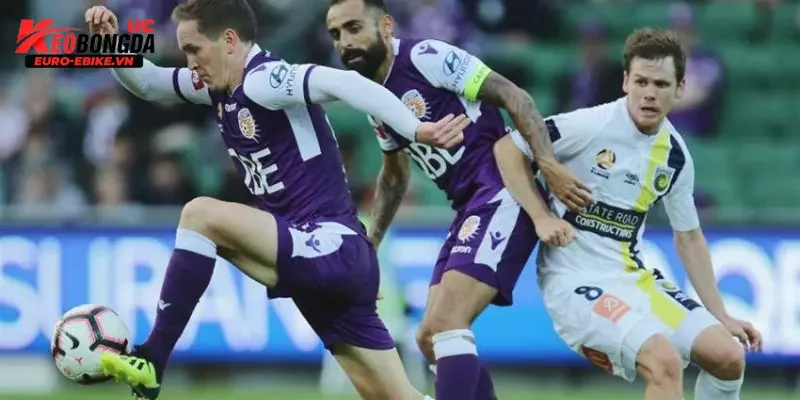 Phong độ và tình hình đội bóng Perth Glory vs Central Coast Mariners